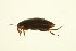  ( - BIOUG01005-G12)  @12 [ ] CreativeCommons - Attribution (2010) CBG Photography Group Centre for Biodiversity Genomics