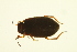  ( - BIOUG01005-H11)  @12 [ ] CreativeCommons - Attribution (2010) CBG Photography Group Centre for Biodiversity Genomics