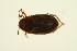  ( - BIOUG01006-A03)  @13 [ ] CreativeCommons - Attribution (2010) CBG Photography Group Centre for Biodiversity Genomics