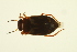  ( - BIOUG01006-A05)  @13 [ ] CreativeCommons - Attribution (2010) CBG Photography Group Centre for Biodiversity Genomics