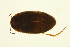  ( - BIOUG01006-A08)  @12 [ ] CreativeCommons - Attribution (2010) CBG Photography Group Centre for Biodiversity Genomics