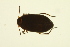  ( - BIOUG01006-D02)  @13 [ ] CreativeCommons - Attribution (2010) CBG Photography Group Centre for Biodiversity Genomics