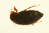  ( - BIOUG01006-D11)  @12 [ ] CreativeCommons - Attribution (2010) CBG Photography Group Centre for Biodiversity Genomics