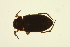  ( - BIOUG01006-E05)  @13 [ ] CreativeCommons - Attribution (2010) CBG Photography Group Centre for Biodiversity Genomics