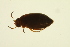  ( - BIOUG01006-E06)  @12 [ ] CreativeCommons - Attribution (2010) CBG Photography Group Centre for Biodiversity Genomics