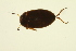  ( - BIOUG01006-E10)  @12 [ ] CreativeCommons - Attribution (2010) CBG Photography Group Centre for Biodiversity Genomics