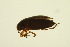  ( - BIOUG01006-F03)  @12 [ ] CreativeCommons - Attribution (2010) CBG Photography Group Centre for Biodiversity Genomics