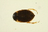  ( - BIOUG01006-F12)  @12 [ ] CreativeCommons - Attribution (2010) CBG Photography Group Centre for Biodiversity Genomics