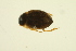  ( - BIOUG01006-G01)  @13 [ ] CreativeCommons - Attribution (2010) CBG Photography Group Centre for Biodiversity Genomics