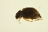  ( - BIOUG01006-G06)  @12 [ ] CreativeCommons - Attribution (2010) CBG Photography Group Centre for Biodiversity Genomics