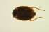  ( - BIOUG01006-H03)  @12 [ ] CreativeCommons - Attribution (2010) CBG Photography Group Centre for Biodiversity Genomics