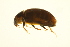  ( - BIOUG01006-H07)  @12 [ ] CreativeCommons - Attribution (2010) CBG Photography Group Centre for Biodiversity Genomics
