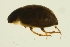  ( - BIOUG01007-A07)  @12 [ ] CreativeCommons - Attribution (2010) CBG Photography Group Centre for Biodiversity Genomics