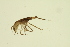 ( - BIOUG01007-C12)  @12 [ ] CreativeCommons - Attribution (2010) CBG Photography Group Centre for Biodiversity Genomics
