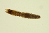  ( - BIOUG01007-E05)  @12 [ ] CreativeCommons - Attribution (2010) CBG Photography Group Centre for Biodiversity Genomics
