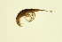  ( - BIOUG01007-F12)  @13 [ ] CreativeCommons - Attribution (2010) CBG Photography Group Centre for Biodiversity Genomics