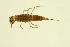  ( - BIOUG01007-H01)  @13 [ ] CreativeCommons - Attribution (2010) CBG Photography Group Centre for Biodiversity Genomics