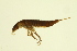  ( - BIOUG01007-H09)  @12 [ ] CreativeCommons - Attribution (2010) CBG Photography Group Centre for Biodiversity Genomics