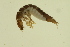  ( - BIOUG01007-H11)  @12 [ ] CreativeCommons - Attribution (2010) CBG Photography Group Centre for Biodiversity Genomics