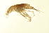  ( - BIOUG01010-C01)  @12 [ ] CreativeCommons - Attribution (2010) CBG Photography Group Centre for Biodiversity Genomics