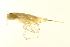  ( - BIOUG01010-C05)  @12 [ ] CreativeCommons - Attribution (2010) CBG Photography Group Centre for Biodiversity Genomics