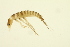  ( - BIOUG01010-F11)  @12 [ ] CreativeCommons - Attribution (2010) CBG Photography Group Centre for Biodiversity Genomics