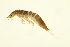  ( - BIOUG01010-G01)  @12 [ ] CreativeCommons - Attribution (2010) CBG Photography Group Centre for Biodiversity Genomics