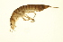  ( - BIOUG01312-C08)  @12 [ ] CreativeCommons - Attribution (2010) CBG Photography Group Centre for Biodiversity Genomics