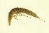  ( - BIOUG01312-F06)  @12 [ ] CreativeCommons - Attribution (2010) CBG Photography Group Centre for Biodiversity Genomics
