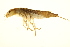  ( - BIOUG01315-B12)  @13 [ ] CreativeCommons - Attribution (2012) CBG Photography Group Centre for Biodiversity Genomics