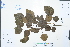 ( - Ge02984)  @11 [ ] CreativeCommons  Attribution Non-Commercial Share-Alike  Unspecified Herbarium of South China Botanical Garden