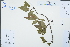  ( - Ge03007)  @11 [ ] CreativeCommons  Attribution Non-Commercial Share-Alike  Unspecified Herbarium of South China Botanical Garden