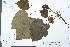  ( - Ge03891)  @11 [ ] CreativeCommons  Attribution Non-Commercial Share-Alike  Unspecified Herbarium of South China Botanical Garden