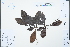  ( - Ge04588)  @11 [ ] CreativeCommons  Attribution Non-Commercial Share-Alike  Unspecified Unspecified