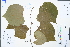  ( - Ge04358)  @11 [ ] CreativeCommons  Attribution Non-Commercial Share-Alike  Unspecified Herbarium of South China Botanical Garden
