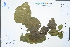  ( - Ge04364)  @11 [ ] CreativeCommons  Attribution Non-Commercial Share-Alike  Unspecified Herbarium of South China Botanical Garden