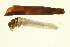  ( - BIOUG01009-B12)  @13 [ ] CreativeCommons - Attribution (2010) CBG Photography Group Centre for Biodiversity Genomics
