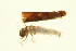  ( - BIOUG01009-C01)  @13 [ ] CreativeCommons - Attribution (2010) CBG Photography Group Centre for Biodiversity Genomics