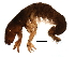  ( - Cbind-184)  @14 [ ] CreativeCommons - Attribution (2009) Unspecified Centre for Biodiversity Genomics