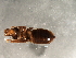  ( - Cbref-070)  @13 [ ] CreativeCommons - Attribution (2009) Unspecified Centre for Biodiversity Genomics