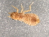  ( - Cbref-267)  @12 [ ] CreativeCommons - Attribution (2009) Unspecified Centre for Biodiversity Genomics