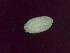  ( - Diplo.sp.LH_Nm20_LSF2.Specimen1_112-71)  @12 [ ] Unspecified (default): All Rights Reserved  Unspecified Unspecified