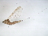  ( - 10BGMAY-054)  @12 [ ] CreativeCommons - Attribution (2010) Unspecified Centre for Biodiversity Genomics