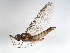 ( - 10BGMAY-072)  @13 [ ] CreativeCommons - Attribution (2010) Unspecified Centre for Biodiversity Genomics