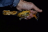  ( - BF01250)  @11 [ ] CreativeCommons - Attribution Share-Alike (2020) Jake M. Mulvaney Stellenbosch University