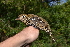  ( - CA38109)  @11 [ ] CreativeCommons - Attribution Share-Alike (2020) Jake M. Mulvaney Stellenbosch University