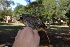 ( - FC11967)  @11 [ ] CreativeCommons - Attribution Share-Alike (2020) Jake M. Mulvaney Stellenbosch University