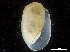  ( - CHARS00107-H07)  @11 [ ] CreativeCommons - Attribution (2018) CBG Photography Group Centre for Biodiversity Genomics