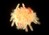  ( - CCDB-25432 E05)  @11 [ ] CreativeCommons - Attribution Non-Commercial Share-Alike (2018) Peter J. Bryant University of California, Irvine