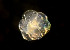  ( - CCDB-25432 H11)  @11 [ ] CreativeCommons - Attribution Non-Commercial Share-Alike (2018) Peter J. Bryant University of California, Irvine